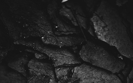 The Industry Holds Divergent Views on the Global Carbon Black Market Trends for the Second Half of the Year