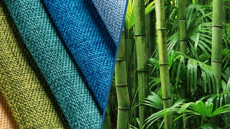 NEWS_6-Bamboo_Fabric_A_Sustainable_Revolution_or_Mistake.jpg