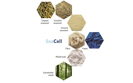 SeaCell Fibre | Seaweed Fibre | Textile Coach