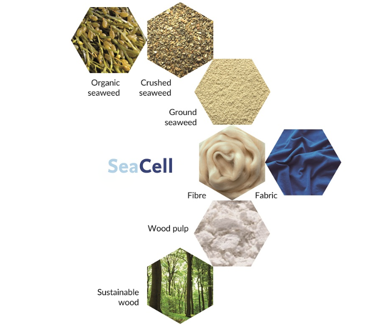 NEWS_2-SeaCell_Fibre__Seaweed_Fibre__Textile_Coach.png