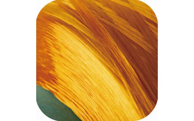 high temperature resistant polyimide fiber 4