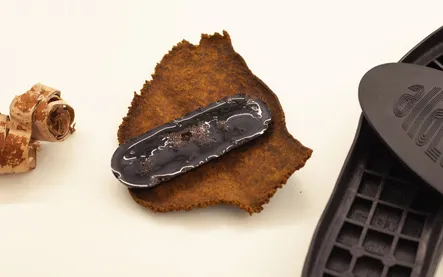 Sustainable bio-rubber: a scalable, low-carbon alternative for Europe